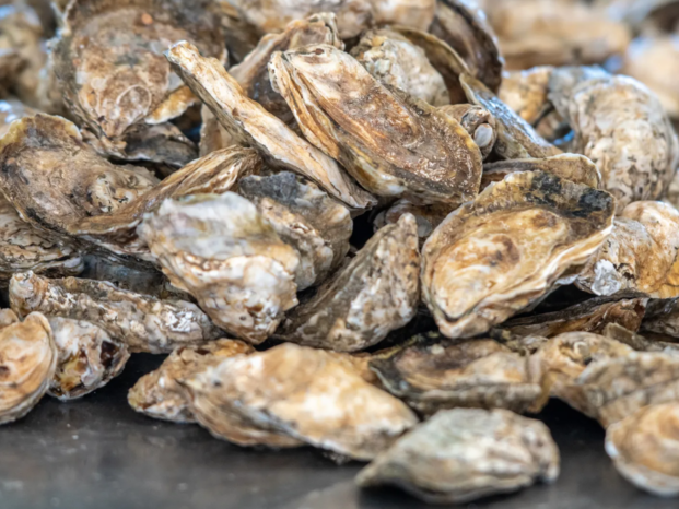 https://www.axios.com/local/washington-dc/2024/02/16/chesapeake-bay-oysters-virginia-maryland?utm_source=newsletter&utm_medium=email&utm_campaign=newsletter_axioslocal_dc&stream=top